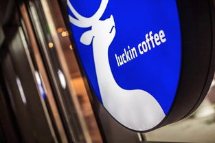 蔚來汽車任命新CFO與摩拜單車調價 兩家出行巨頭的戰略調整